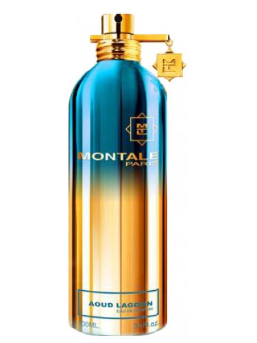 Montale Paris Aoud Lagoon 100ml Eau De Parfum fragrance for men and women.